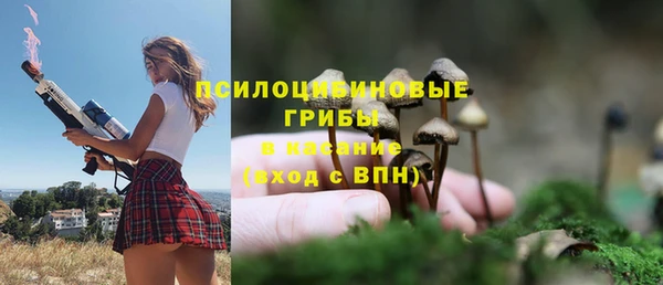 не бодяженный Арсеньев